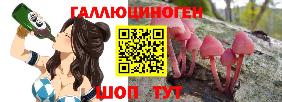 Гатчина  Псилоцибиновые грибы GOLDEN TEACHER  Вход с VPN 