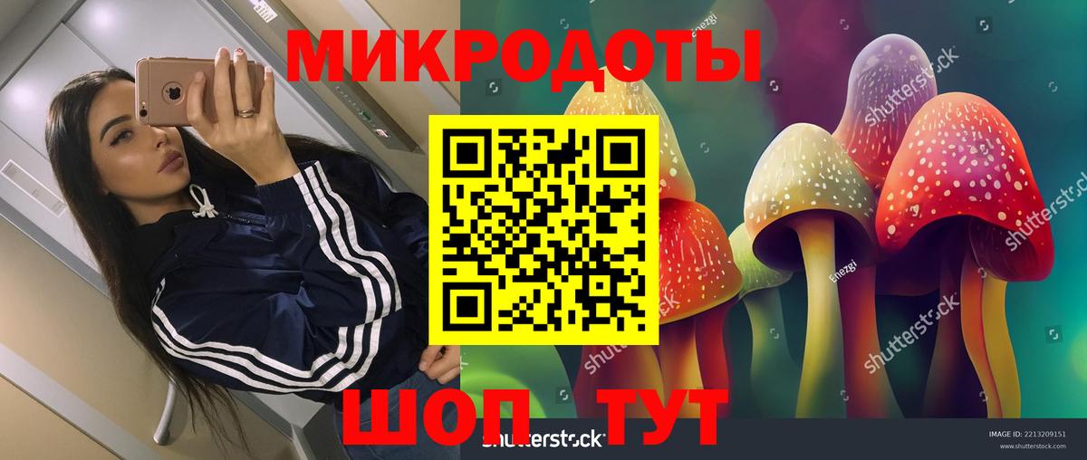 Псилоцибиновые грибы Psilocybine cubensis Гатчина